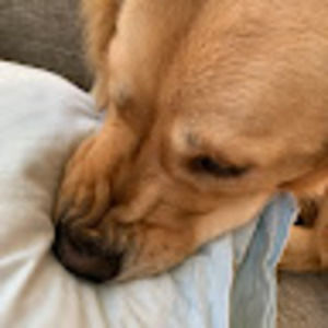 Meet your Posher, Uma